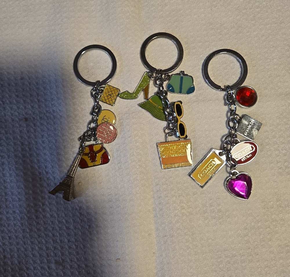 Vibrant Charm Keychain Set